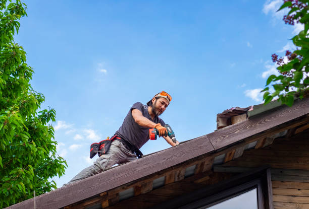 Best Siding Services  in Lemont Furnace, PA